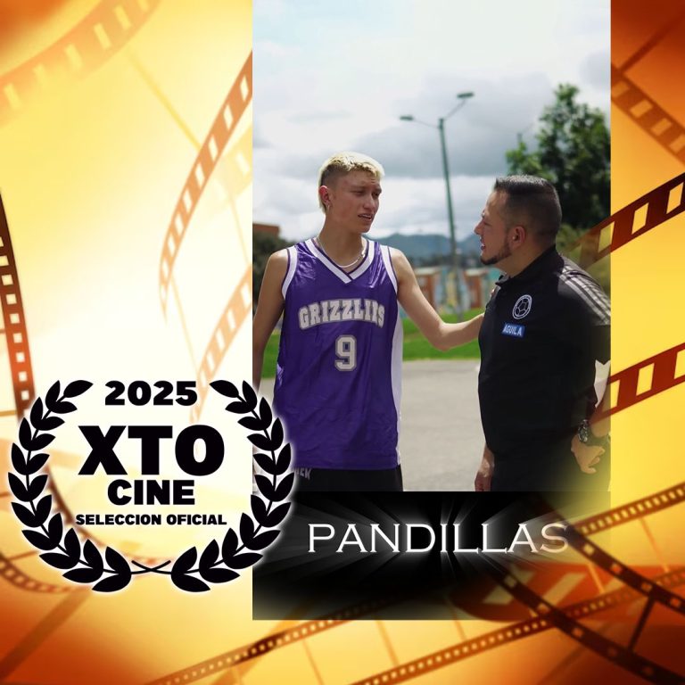 04 PANDILLAS
